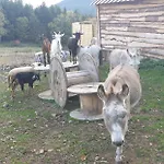 ホテル Domaine Des Cigogneaux ラバロッシュ