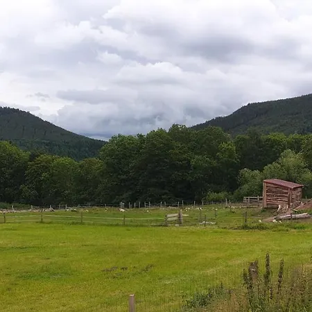 Domaine Des Cigogneaux *
