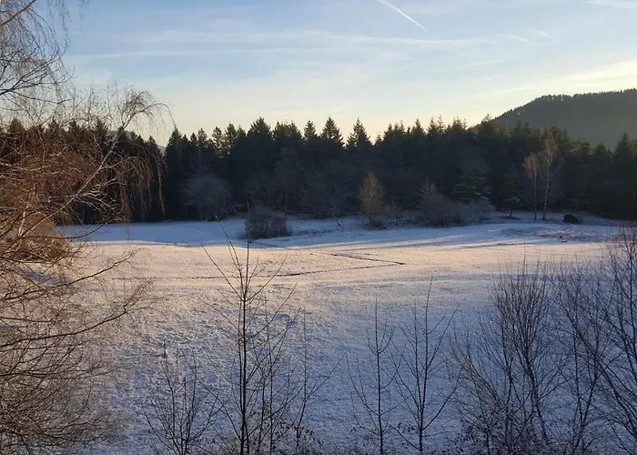 Domaine Des Cigogneaux * Labaroche