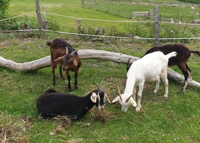 Domaine Des Cigogneaux Labaroche
