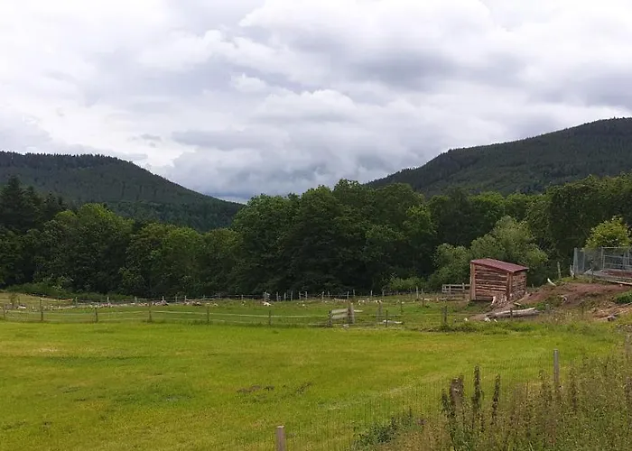 Domaine Des Cigogneaux *