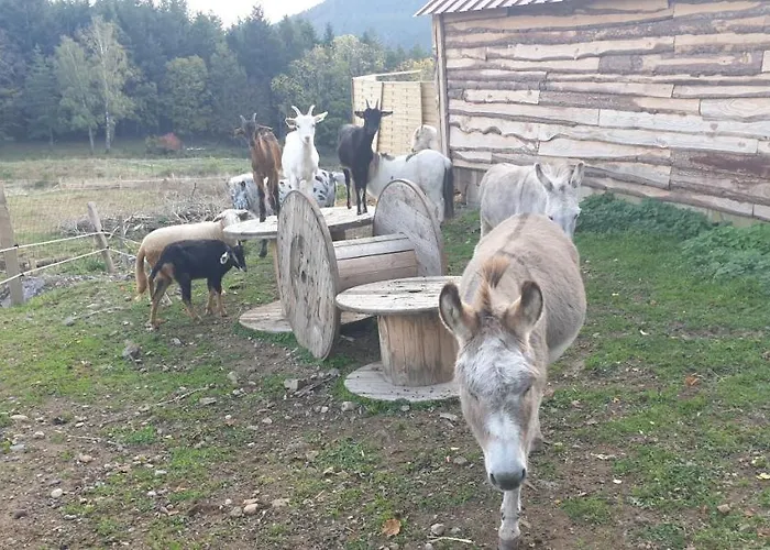 Hotel Domaine Des Cigogneaux Labaroche